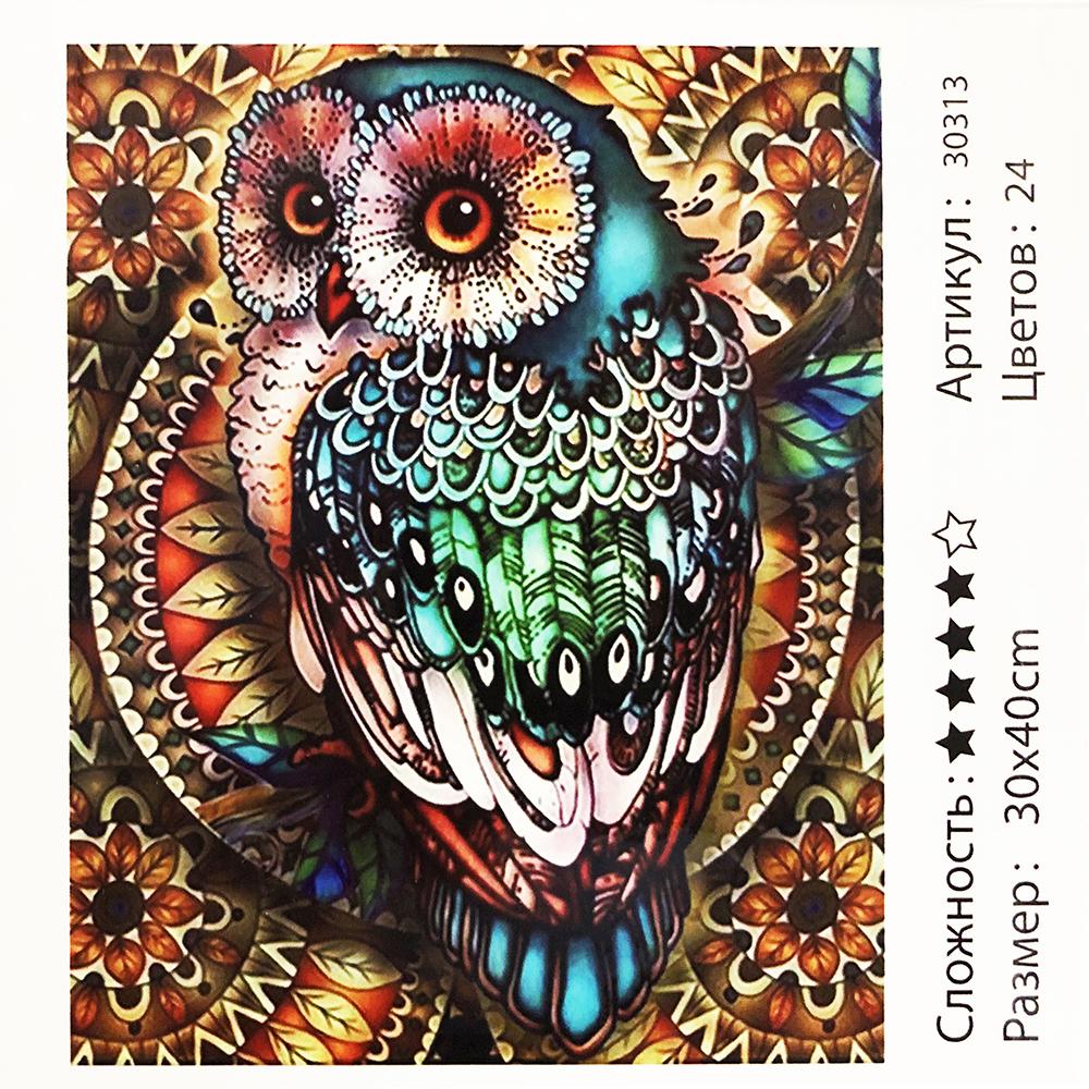 Картина за номерами: Сова. Розміри: 30 х 40 см. Малювання фарбами по номерам